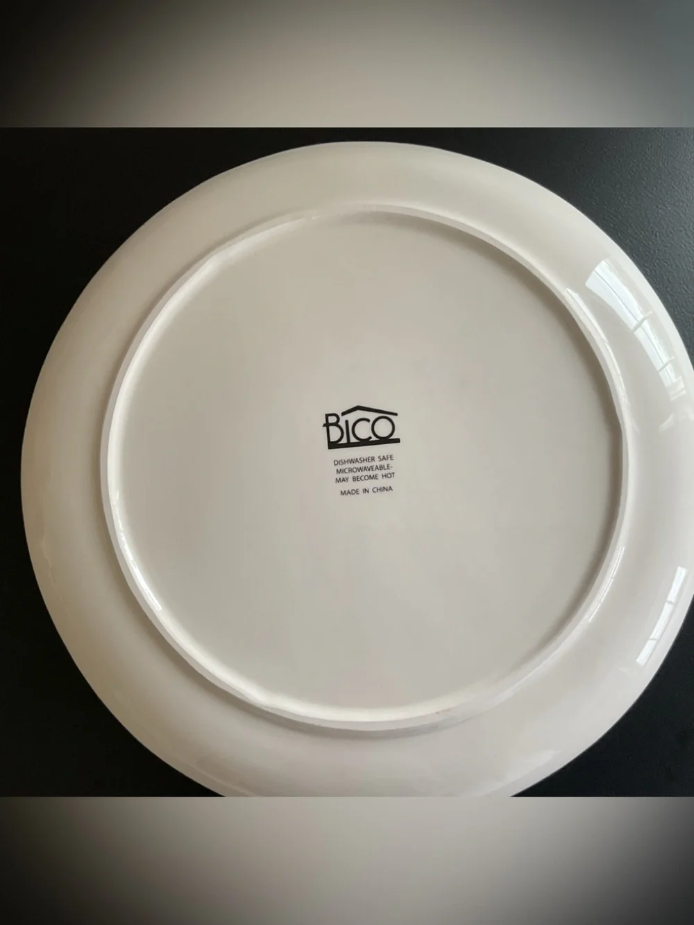 Bico Pumpkins & Gourd Autumn Harvest Ceramic 11” Dinner Plates, Set of 4